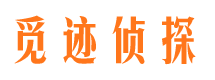 冷湖侦探公司